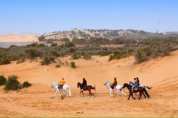 Essaouira dunes